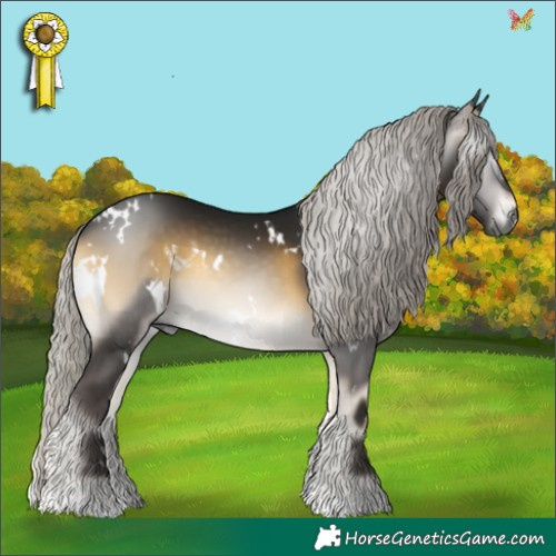 Horse Color:Gray White Spotted Silver Buckskin Onyx 