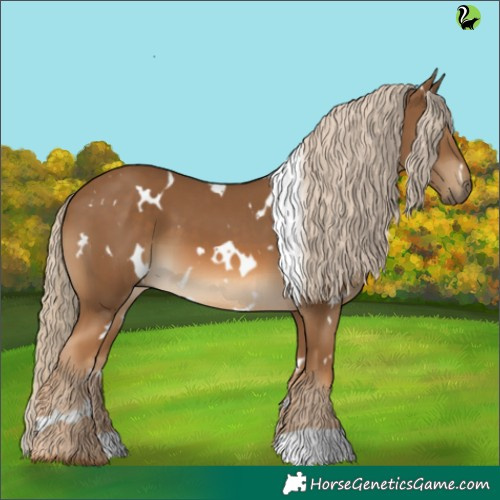 Horse Color:White Spotted Chocolate Palomino 