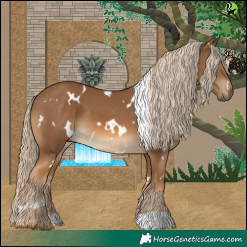 Horse Color:White Spotted Chocolate Palomino 