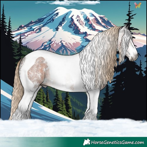 Horse Color:Gray Chocolate Palomino Sabino Tobiano Appaloosa Rabicano 