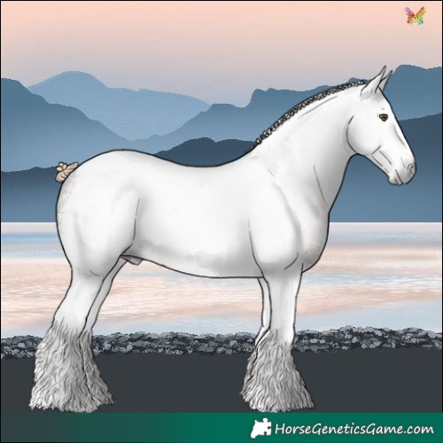 Horse Color:Gray Chocolate Palomino Sabino Tobiano Varnish Rabicano 