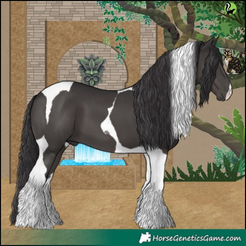 Horse Color:Smoky Black Tobiano 