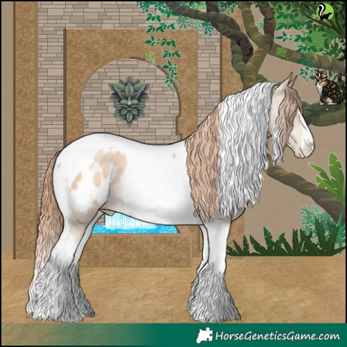 Horse Color:Smoky Black Pearl Tobiano Appaloosa 
