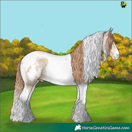 Horse Color:Smoky Black Pearl Tobiano Appaloosa 