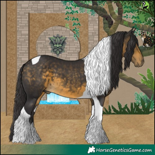 Horse Color:Buckskin Tobiano 