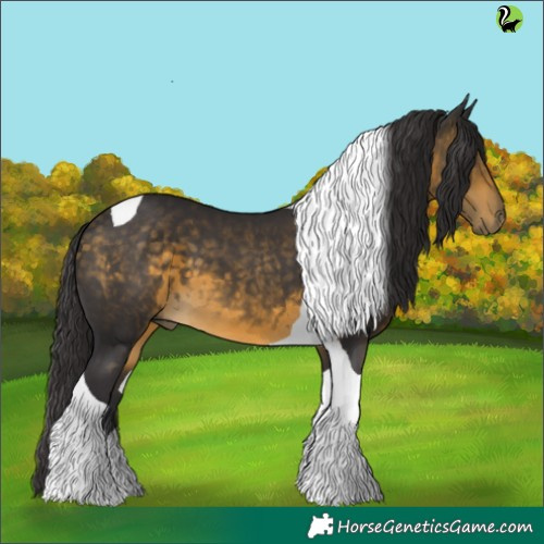 Horse Color:Buckskin Tobiano 