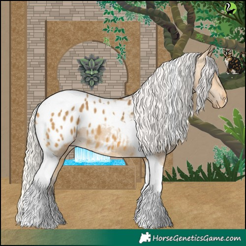 Horse Color:Silver Buckskin Tobiano Blanket 