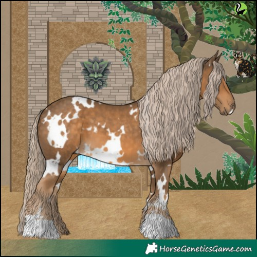 Horse Color:White Spotted Chocolate Palomino 