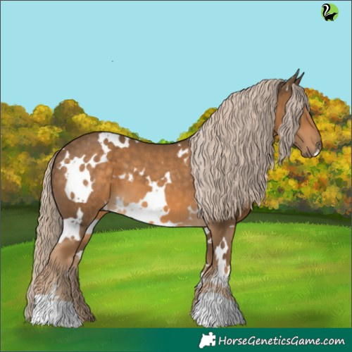 Horse Color:White Spotted Chocolate Palomino 