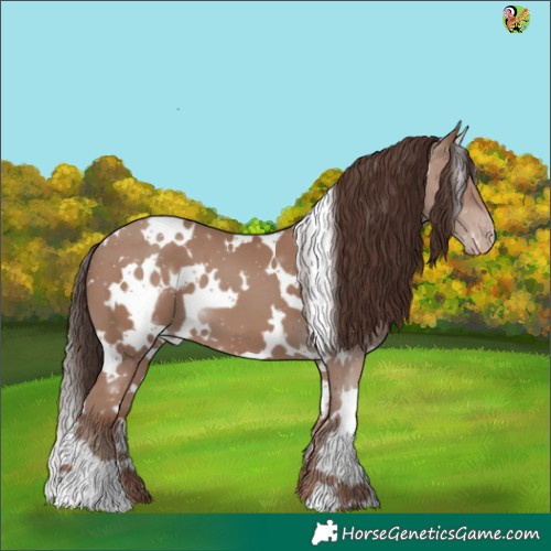 Horse Color:White Spotted Classic Champagne 