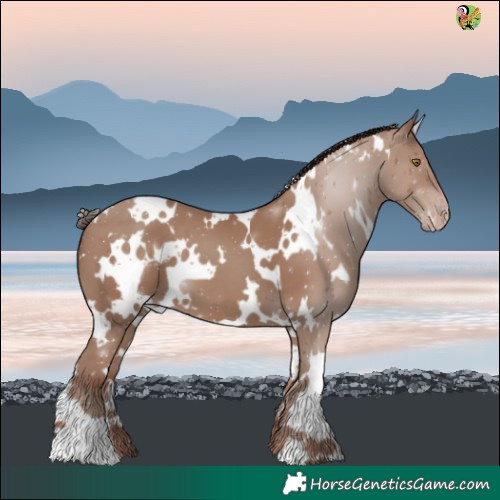 Horse Color:White Spotted Classic Champagne 