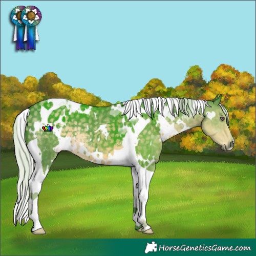 Horse Color:Watercolor White Spotted Silver Smoky Black Chinchilla Tobiano