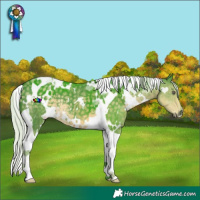 Horse Color:Watercolor White Spotted Silver Smoky Black Chinchilla Tobiano 