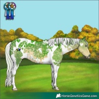 Horse Color:Watercolor White Spotted Silver Smoky Black Chinchilla Tobiano