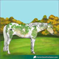 Horse Color:Watercolor White Spotted Silver Smoky Black Chinchilla Tobiano 