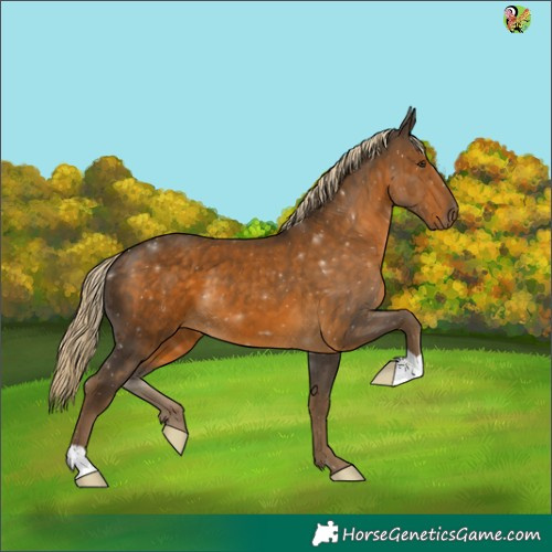 Horse Color:Chocolate Palomino 