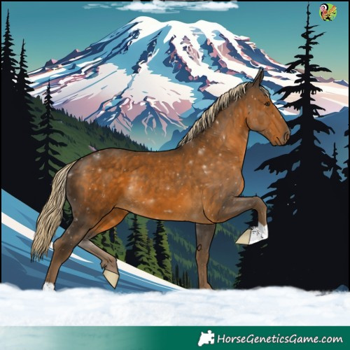 Horse Color:Chocolate Palomino 