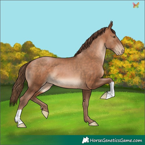 Horse Color:Brown Pearl 