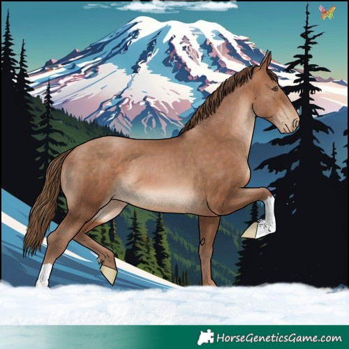 Horse Color:Brown Pearl 
