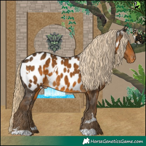 Horse Color:White Spotted Chocolate Palomino Appaloosa 
