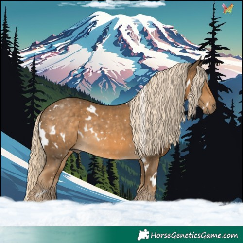 Horse Color:White Spotted Chocolate Palomino 