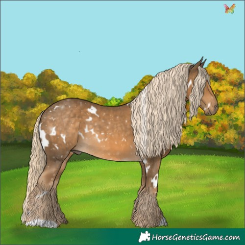Horse Color:White Spotted Chocolate Palomino 