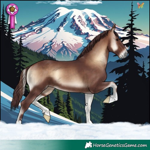 Horse Color:Chocolate Bay Onyx