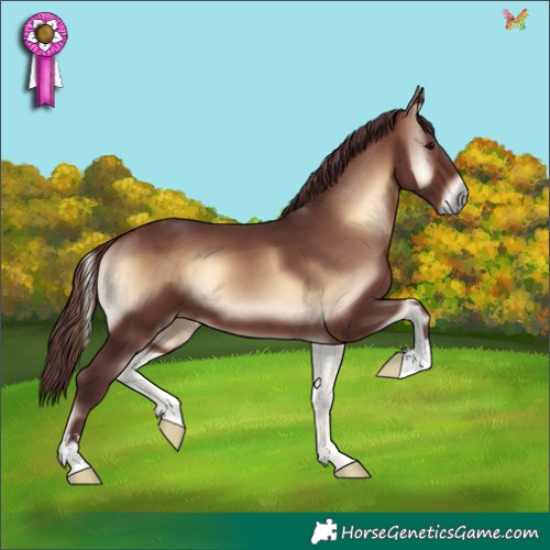 Horse Color:Chocolate Bay Onyx 