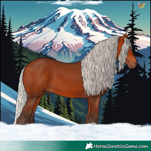 Horse Color:Silver Bay 