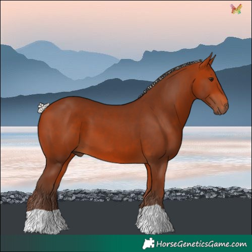 Horse Color:Silver Bay 