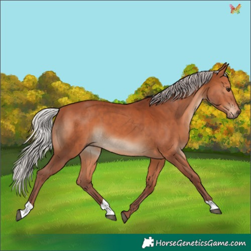 Horse Color:Chocolate Silver Bay 