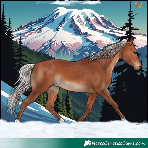 Horse Color:Chocolate Silver Bay 