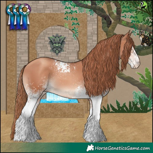 Horse Color:White Spotted Gold Champagne 
