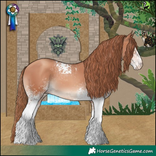 Horse Color:White Spotted Gold Champagne 