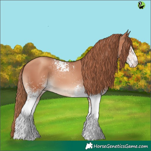 Horse Color:White Spotted Gold Champagne 