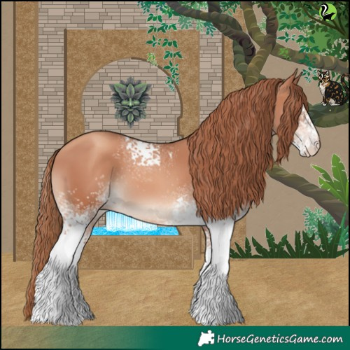 Horse Color:White Spotted Gold Champagne 