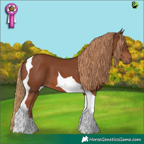Horse Color:Chestnut Tobiano 