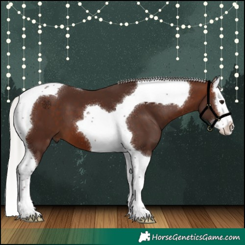 Horse Color:Silver Brown Splash Tobiano