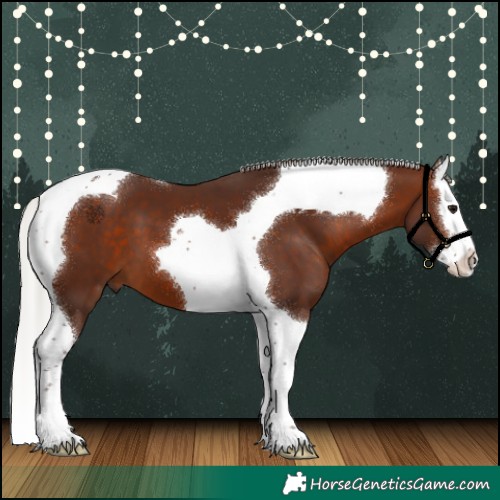 Horse Color:Silver Brown Splash Tobiano