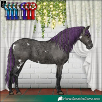 Horse Color:Painted White Spotted Grullo Ice Appaloosa 