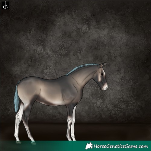 Horse Color:Painted Blue Onyx Varnish 