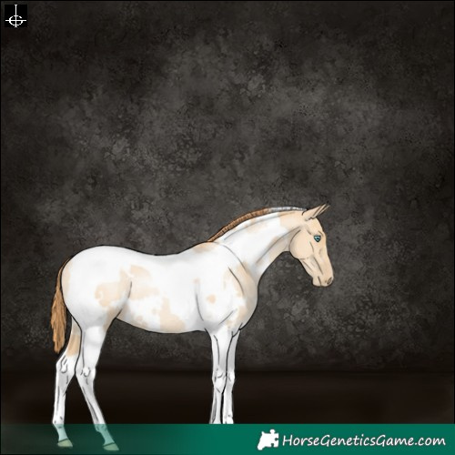 Horse Color:White Spotted Smoky Grullo Pearl Tobiano Rabicano 