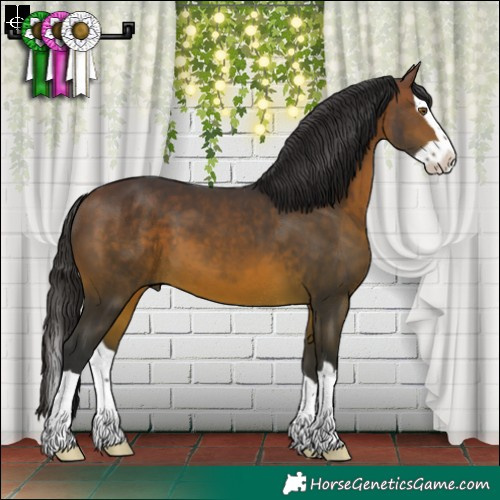 Horse Color:Brown Splash 