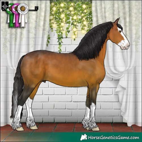 Horse Color:Brown Splash 