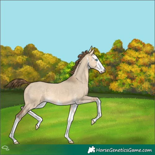 Horse Color:Gray White Spotted Perlino Dun 