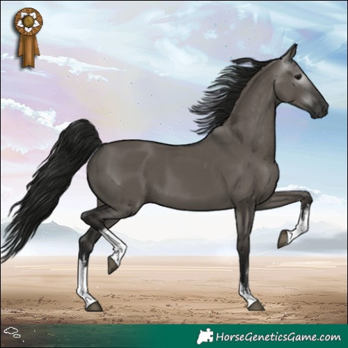 Horse Color:Gray White Spotted Grullo 