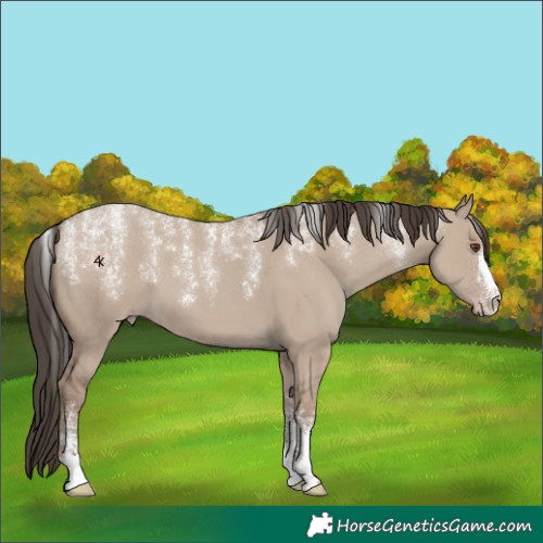 Horse Color:Powder White Classic Champagne Dun