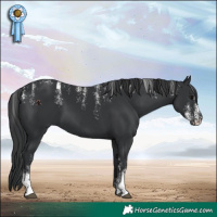 Horse Color:Powder White Black 