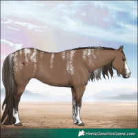 Horse Color:Powder White Grullo 