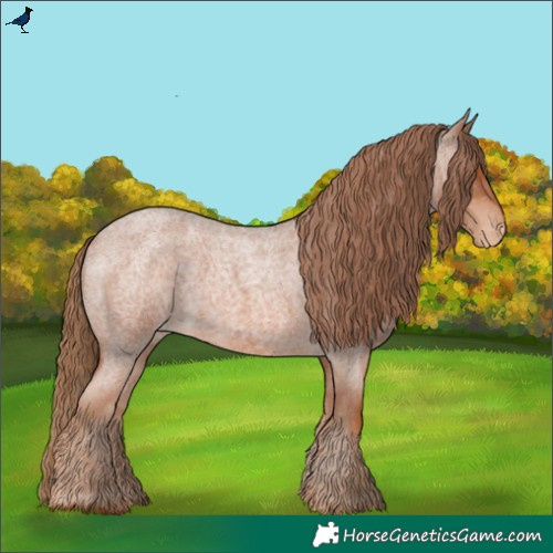 Horse Color:Red Roan Varnish 